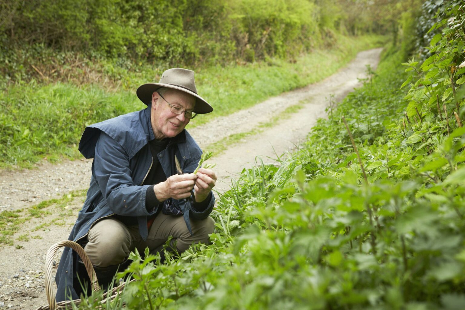 A man in a long coat and boots foraging for edible and tasty plants in the hedgerow.
