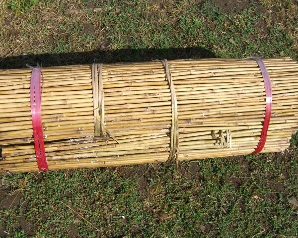 Bamboo Canes - 90cm (12/14lbs)