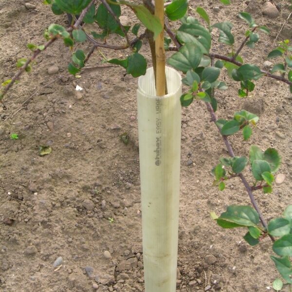 Tubex Easywraps - 0.75m x 50-65mm